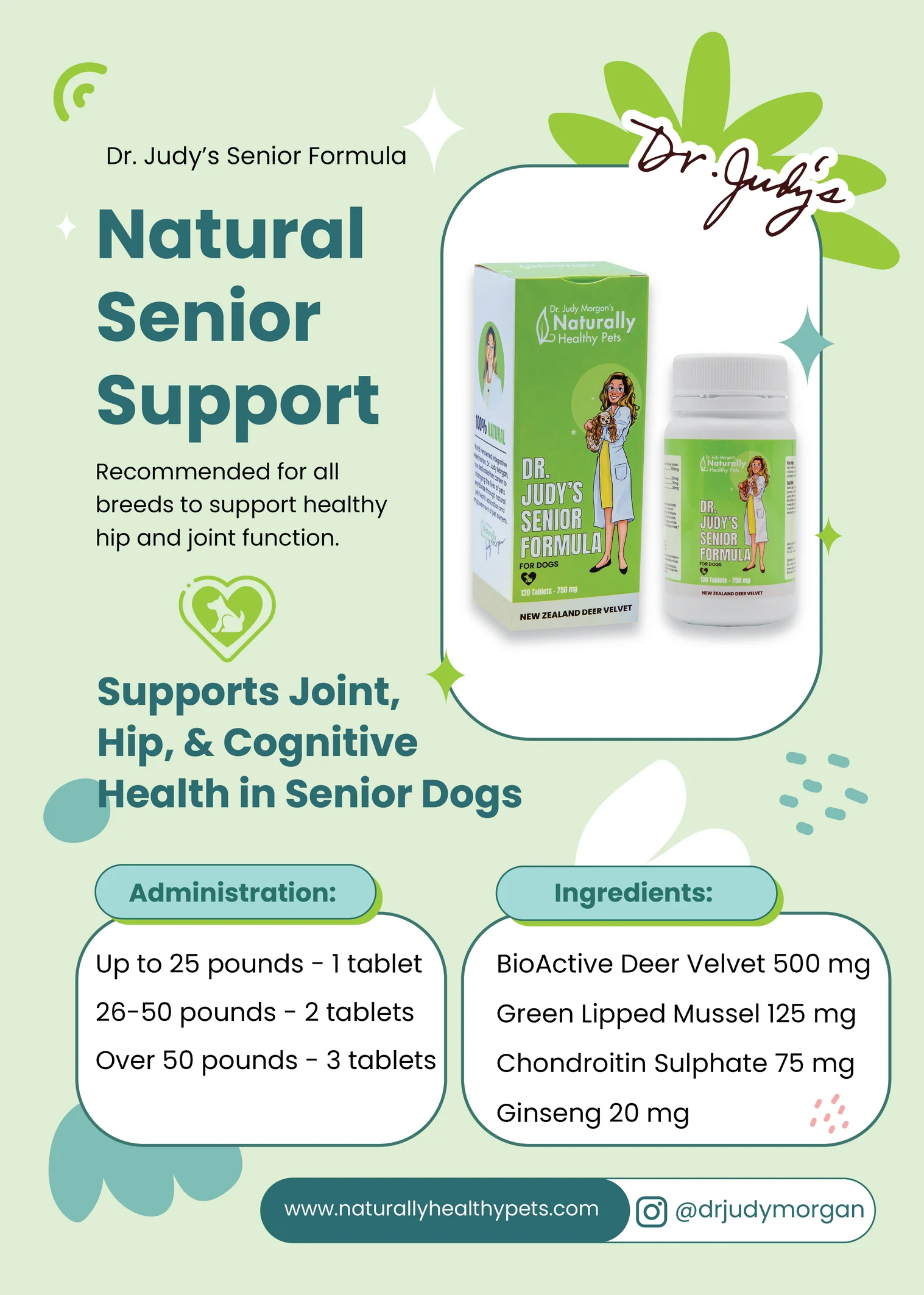 Senior Formula for Dogs - Image 3